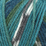 Plymouth Encore Colorspun Yarn