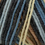 Plymouth Encore Colorspun Yarn