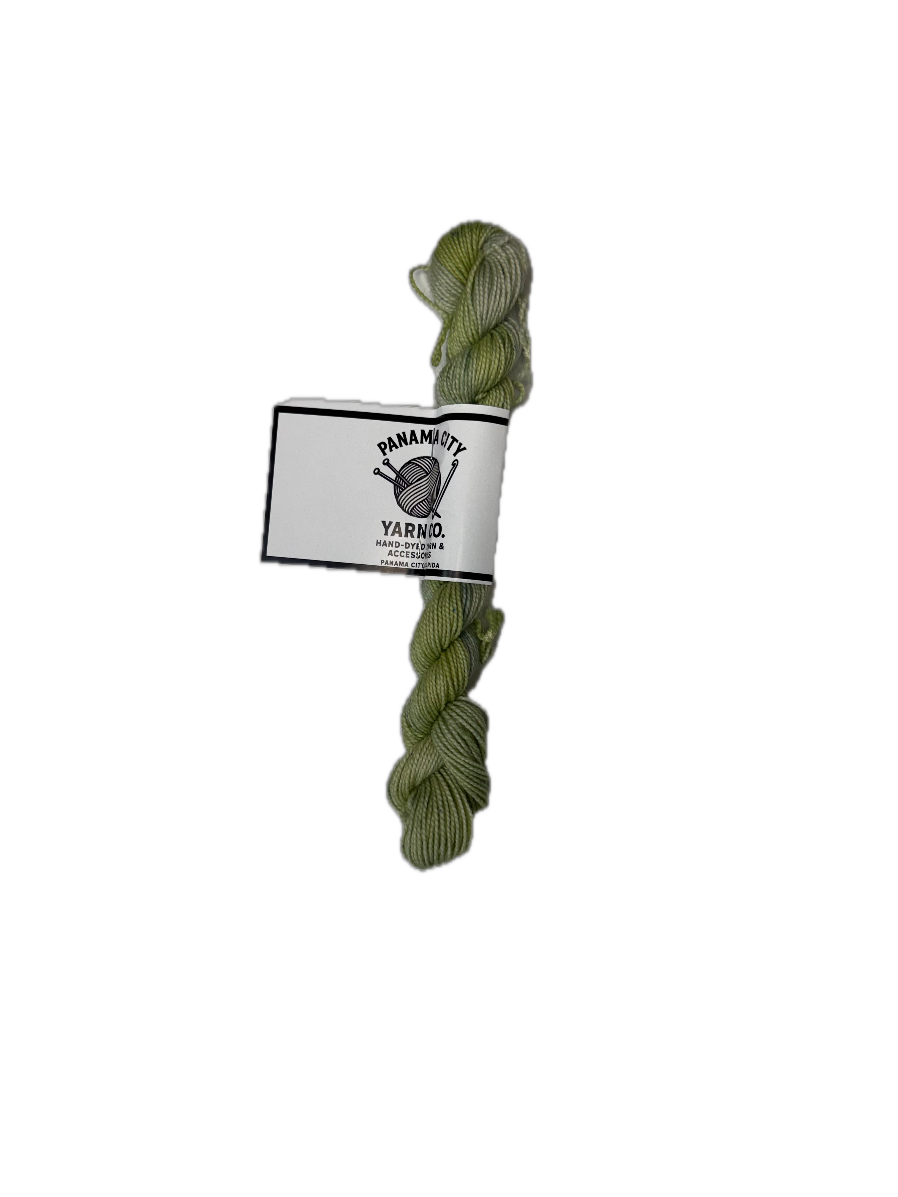 Panama City Yarn Co Hand Dyed- My BFL Bestie Base 20g