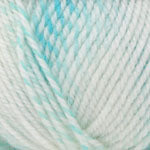 Plymouth Encore Colorspun Yarn