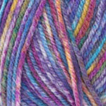Plymouth Encore Colorspun Yarn