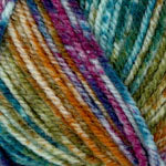 Plymouth Encore Colorspun Yarn