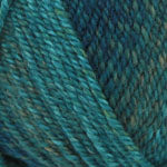 Plymouth Encore Colorspun Yarn