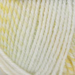 Plymouth Encore Colorspun Yarn