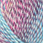 Plymouth Encore Colorspun Yarn